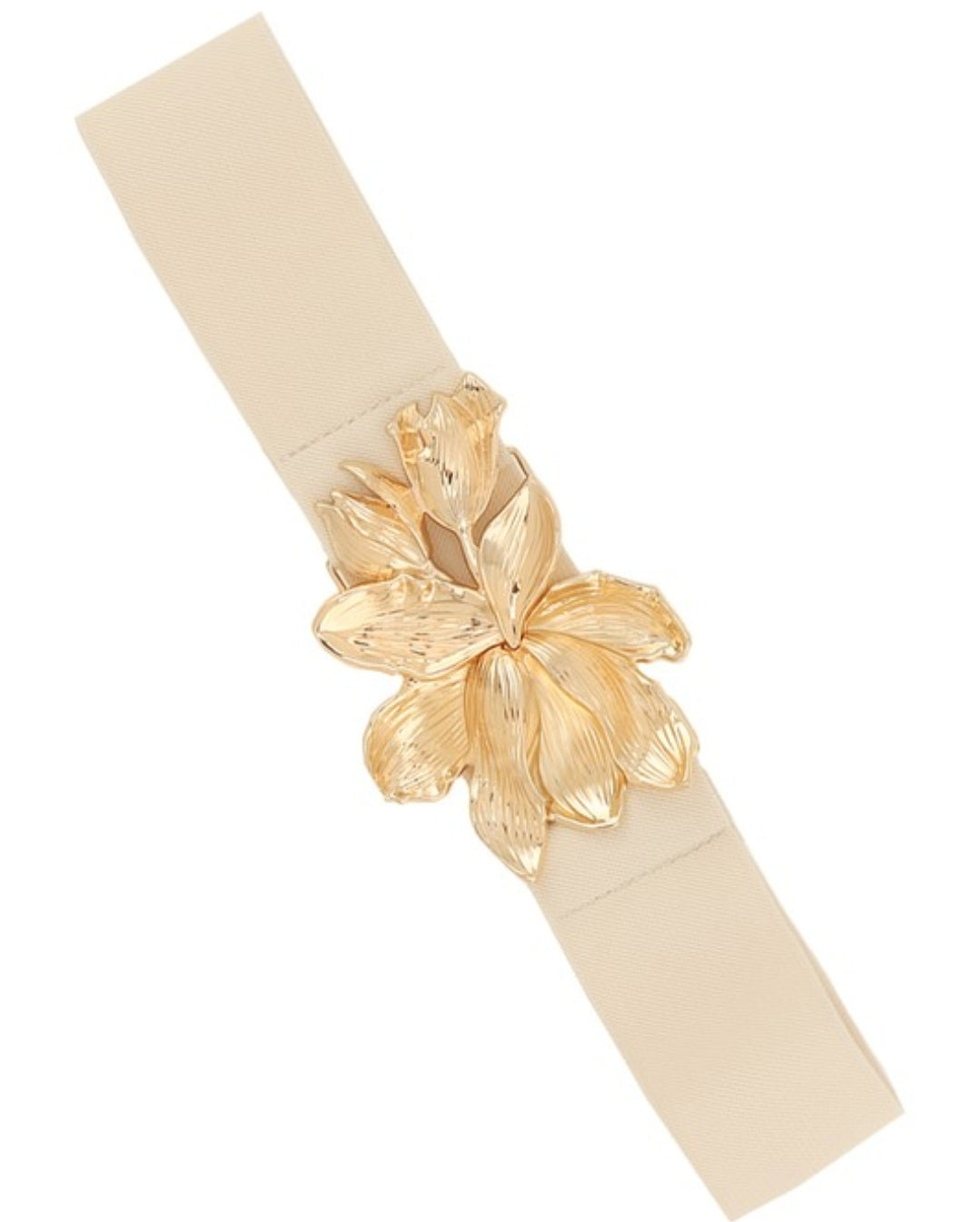 CORREA ELASTICA 2.5" (W)